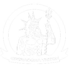 Operadora Tritón SRL